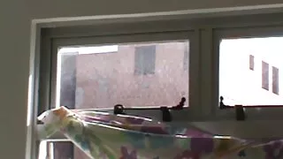 Dysk ruchanie darmowe filmy pornno w cipki pięknej blondynki