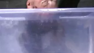 Fajna księżniczka dostaje seks w darmowe sxs filmy łazience od ukochanej osoby