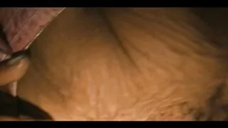 Młoda kobieta z małymi cyckami chciała szybkiego seksu darmowe filmy erotyczne69